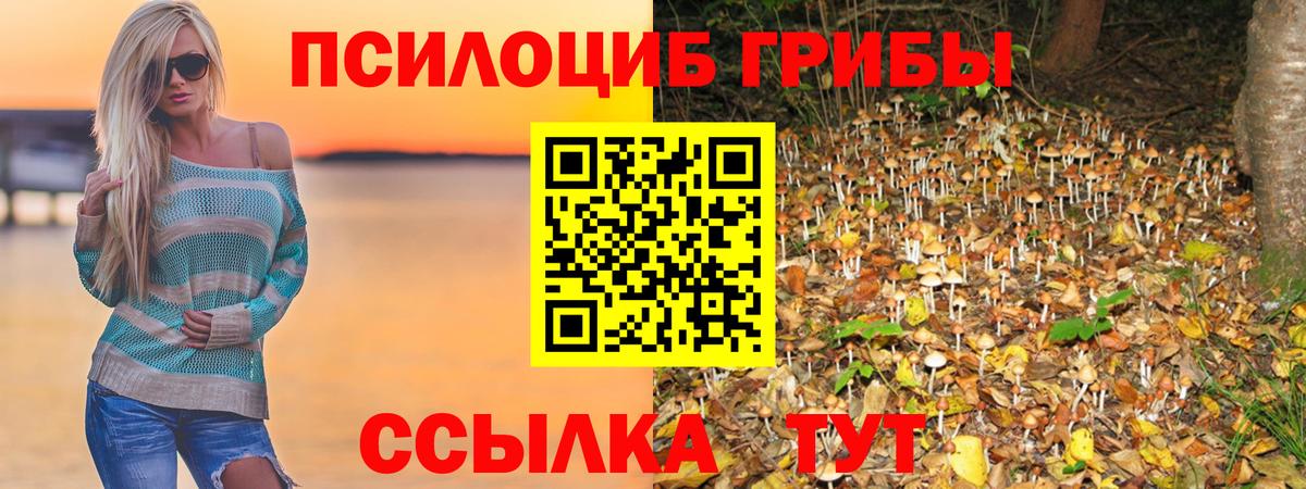 где найти   Псилоцибиновые грибы Psilocybe  Вход с VPN  Альметьевск 